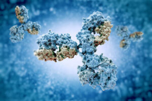 Bispecifikus antitestek: Új generációs rákellenes immunterápia a szilárd daganatok leküzdésére